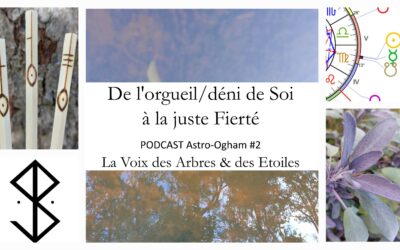 De l’orgueil/déni de Soi à la juste Fierté – PODCAST