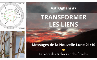 TRANSFORMER LES LIENS – Vidéo AstrOgham #7