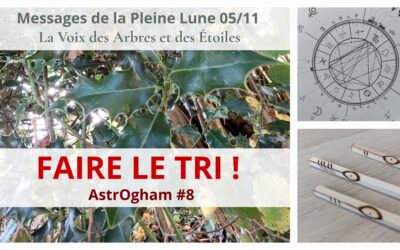 FAIRE LE TRI – AstrOgham #8